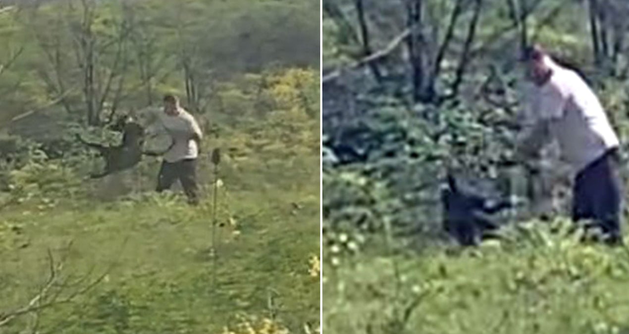 Köpeğine Şiddet Uygulayan Şahıs, Tepkilere Rağmen Saldırısına Devam Etti